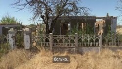 Что День независимости значит для жителей сел Максимовка и Киселевка Николаевской области